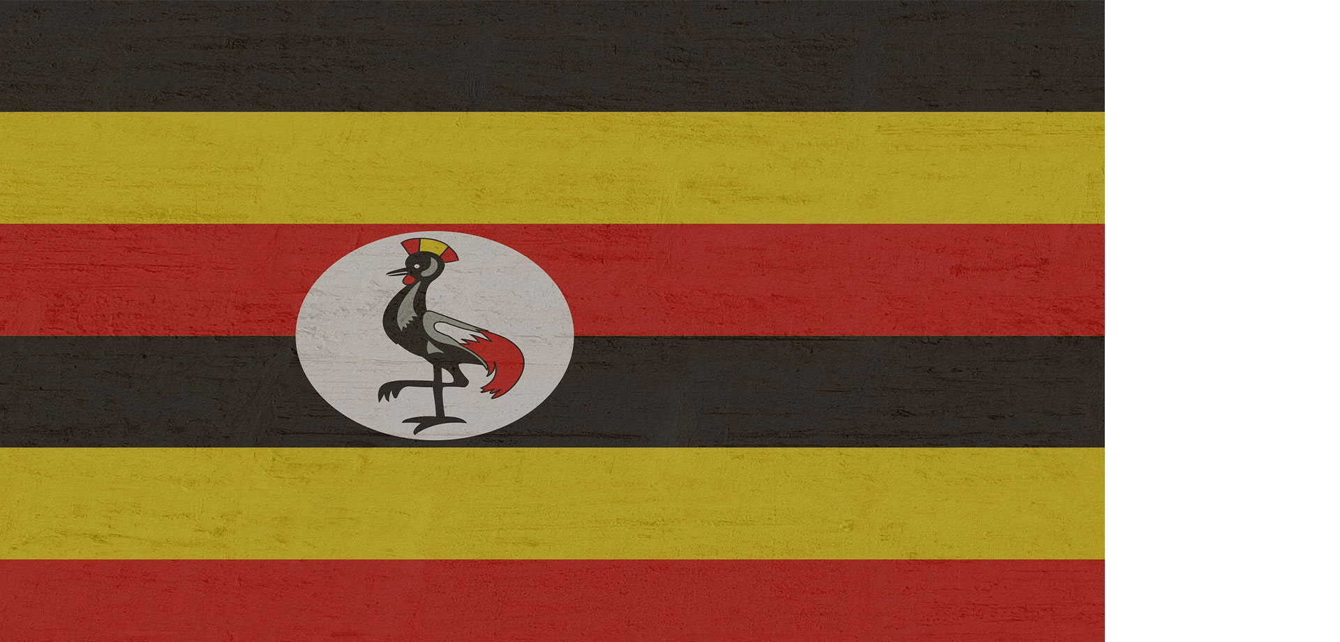 National Flag